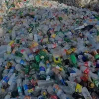 خرید سبد میوه پلاستیک وپت|خدمات پیشه و مهارت|هریس, |دیوار