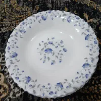 خورشت خوری کاسه سالاد آکروپال امارت گل آبی