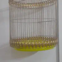 قفس پرنده