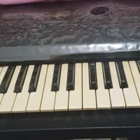 ارگ|پیانو، کیبورد، آکاردئون|ایلام, |دیوار