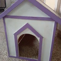 یک عدد خانه ی پت خانگی