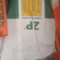 فروش ویژه بذر ذرت علوفه با قیمت و کیفیت|عمدهفروشی|سبزوار, هویزه|دیوار