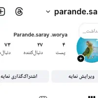 پرنده|پرنده|سنندج, |دیوار