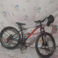 دوچرخه 29