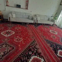 دو تخته فرش ۱۲ متری یک ۴ متری|فرش|شیراز, مسلم|دیوار