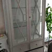فروش دو عدد ویترین
