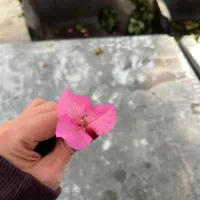 فروش وسایل منزل