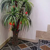 درختچه مصنوعی و جا حنا|گل مصنوعی|اردبیل, |دیوار