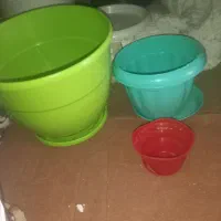 سطل وگلدان|گل مصنوعی|تربت‌حیدریه, آغوی|دیوار