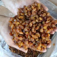 نیازمند کارگر ساده ویک نفر دفتری