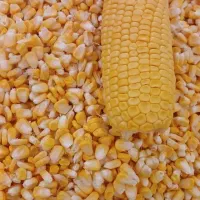 ذرت اعلا|خوردنی و آشامیدنی|قم, باسکول|دیوار