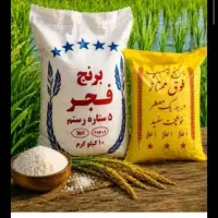 برنج چمپا شیراز کیسه ده کیلو