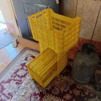 سبد فروشی رودان آبنما