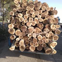 خریدار انواع چوب|خدمات باغبانی و درختکاری|ساوه, |دیوار