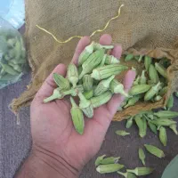 بامیه محلی خوزستان
