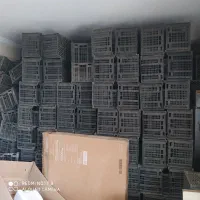 سبد گوجه سیر و میوه