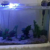 اکواریوم 60*40*85