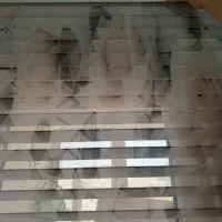 پرده زبرا