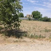 زمین-کشاورزی-با-برق