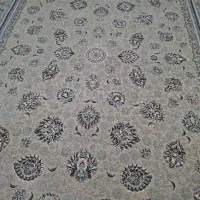 فروش فرش 12متری  پازریک 1500شانه
