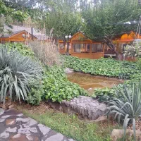 خواننده
