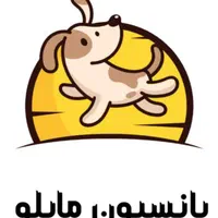 پانسیون خانگی مایلو|خدمات پیشه و مهارت|رشت, معلم|دیوار