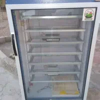 دستگاه جوجه کشی تمام اتوماتیک|لوازم جانبی حیوانات|خرمآباد, |دیوار