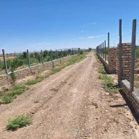 زمین-باغی
