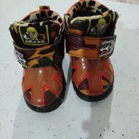 کفش بچگانه