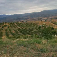 فروش ۵۰۰ متری باغ درجاده اهر مشگین|فروش دفتر صنعتی، کشاورزی، تجاری|فندقلو, |دیوار