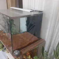 آکواریوم فروشی|ماهی|بندرعباس, |دیوار