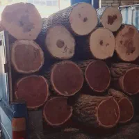 خریده چوب در استان مرکزی و شهرستان ها|خدمات باغبانی و درختکاری|آشتیان, |دیوار