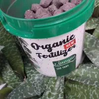 قرص کود گل و گیاه|گل و گیاه طبیعی|ساری, |دیوار