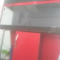 اکواریوم|ماهی|اسلام‌‌آباد غرب, |دیوار