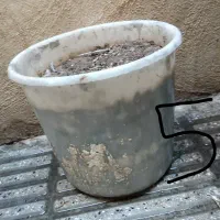5 عدد گلدان کارکرده کاملا سالم|گل و گیاه طبیعی|تهران, نبی اکرم|دیوار
