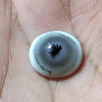 سنگ شجر|جواهرات|اراک, |دیوار