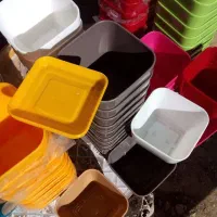 گلدان پلاستیکی|گل و گیاه طبیعی|گناباد, |دیوار