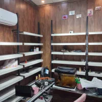 مانکن رگال دکور خوش قیمت|فروشگاه و مغازه|شیراز, شریف‌آباد|دیوار