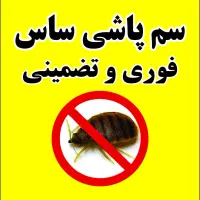 سم پاشی ساس