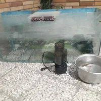 اکواریم