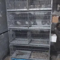 قفس چهار طبقه