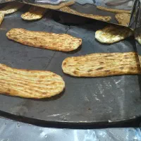 شاطر بربری نیاز مندیم
