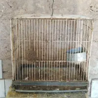 قفس ترقه و قناری|لوازم جانبی حیوانات|شیراز, حجت آباد|دیوار