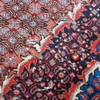 فرش دستبافت|فرش|اردبیل, |دیوار