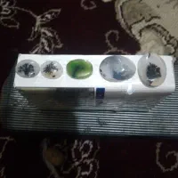 شجر سنگ اصلی