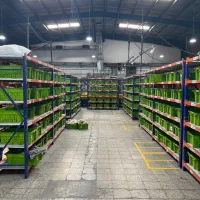 استخدام اپراتور انبار با بیمه و مزایا در اسنپ شاپ|استخدام صنعتی، فنی، مهندسی|تهران, بریانک|دیوار