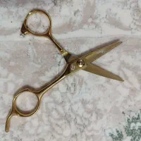 قیچی آرایشگری حرفه ای رزونال مدل P|آرایشگاه و سالنهای زیبایی|سنندج, |دیوار