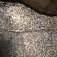 شهاب سنگ|کلکسیون اشیاء عتیقه|شیراز, شهرک صنعتی شیراز|دیوار