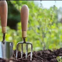 کارگر روز مزد هستم