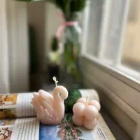 شمع|صنایع دستی و سایر لوازم تزئینی|رشت, چله خانه|دیوار